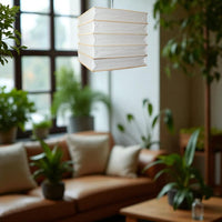 Decorative & Other Shades